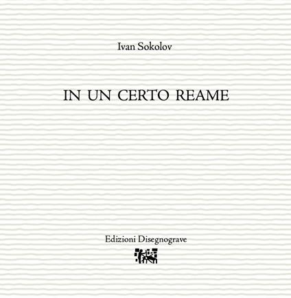 In un certo reame - Ivan Sokolov - copertina