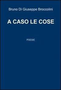 A caso le cose - Bruno Di Giuseppe Broccolini - copertina