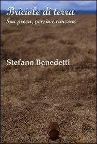 Briciole di terra - Stefano Benedetti - copertina