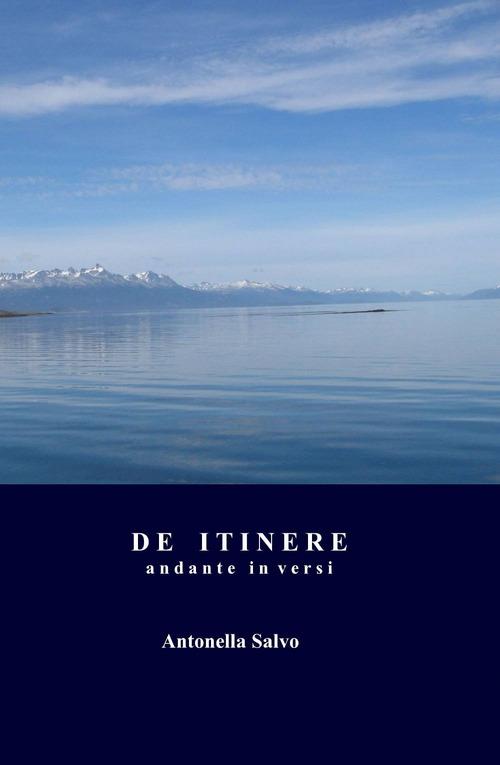 De itinere - Antonella Salvo - copertina