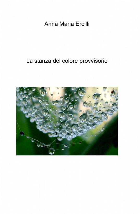 La stanza del colore provvisorio - Anna Maria Ercilli - copertina