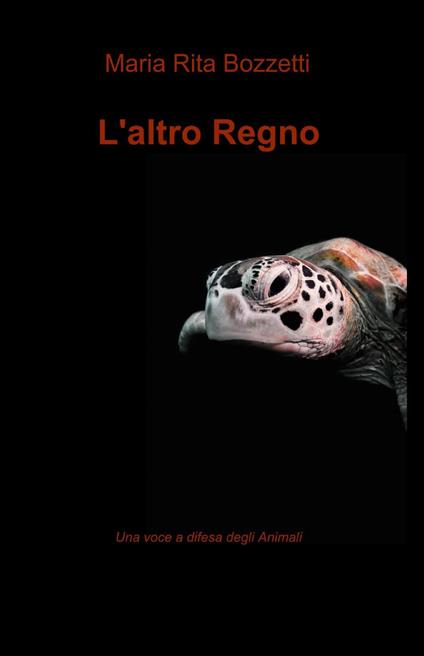 L' altro regno - M. Rita Bozzetti - copertina