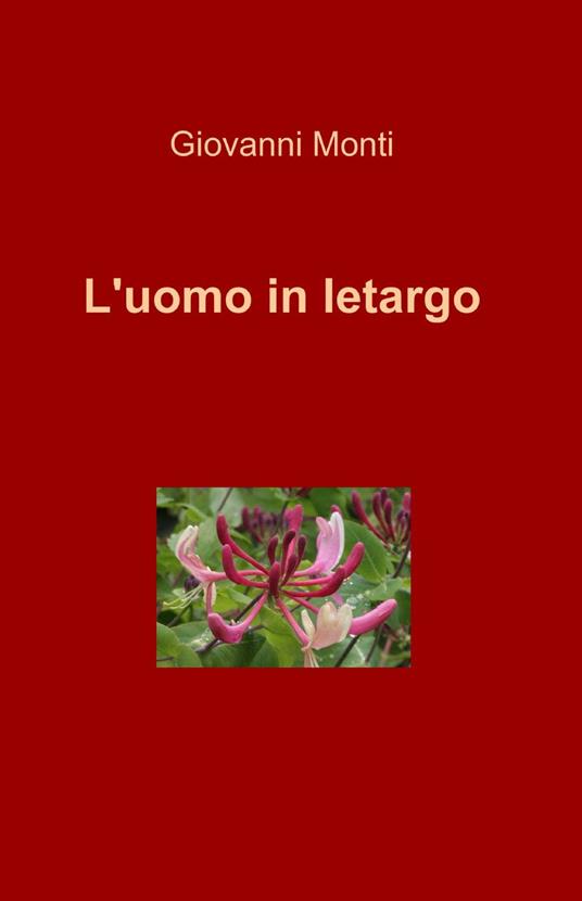 L' uomo in letargo - Giovanni Monti - copertina