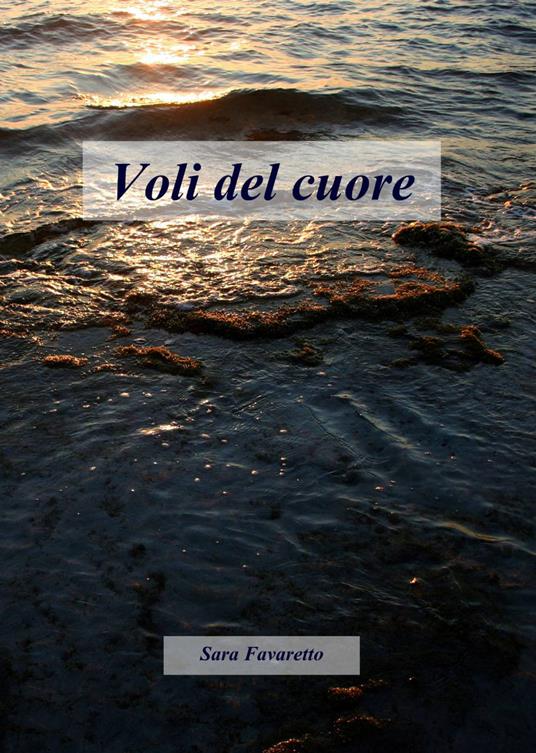 Voli del cuore - Sara Favaretto - copertina