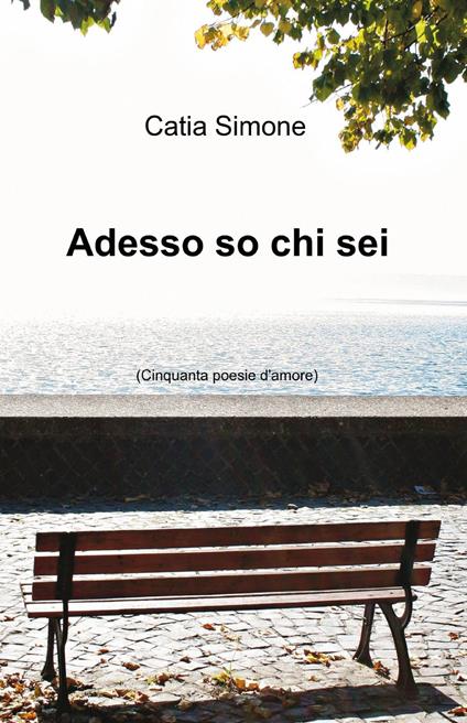 Adesso so chi sei - Catia Simone - copertina