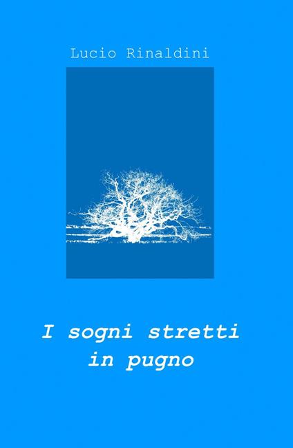 I sogni stretti in pugno - Lucio Rinaldini - copertina