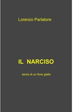 Il narciso