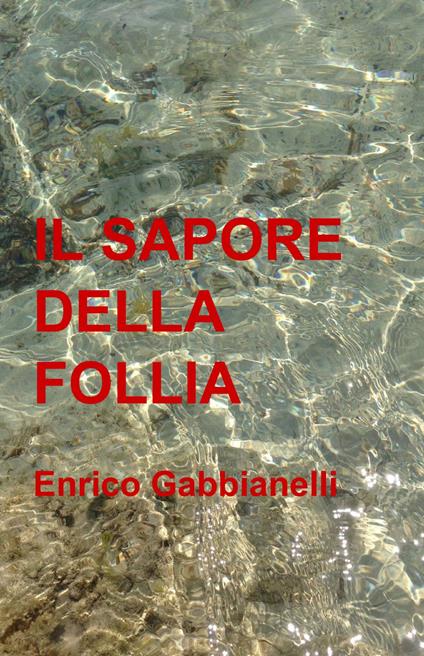 Il sapore della follia - Enrico Gabbianelli - copertina
