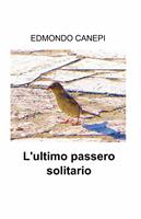 Nome prodotto