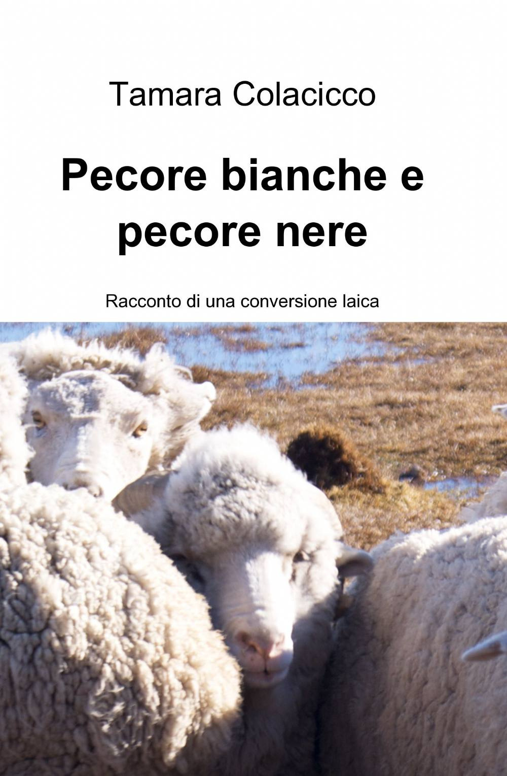 Libraccio