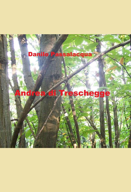 Andrea di Treschegge - Danilo Passalacqua - ebook