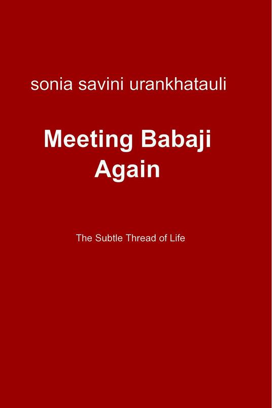 Meeting Babaji Again - Sonia Savini - ebook