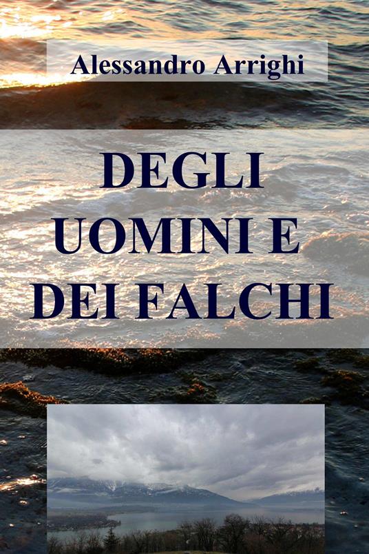 Degli uomini e dei falchi - Alessandro Arrighi - ebook