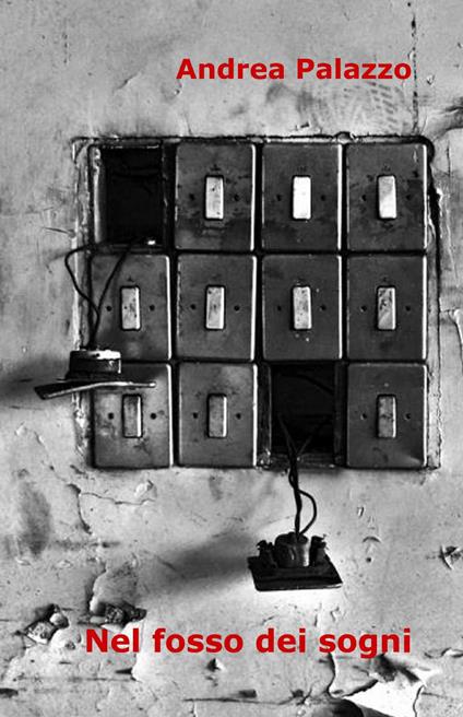 Nel fosso dei sogni - Andrea Palazzo - copertina