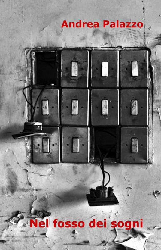 Nel fosso dei sogni - Andrea Palazzo - copertina