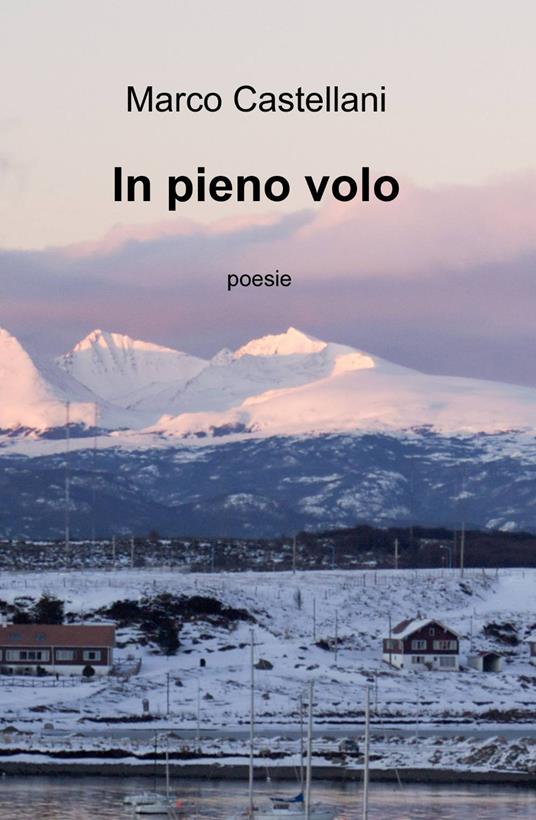 In pieno volo - Marco Castellani - copertina