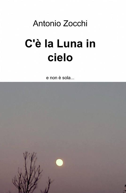C'è la luna in cielo - Antonio Zocchi - copertina