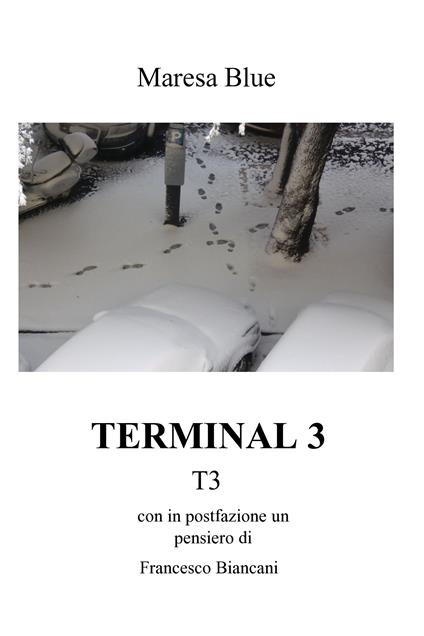Terminal 3 - Maresa Blue - ebook