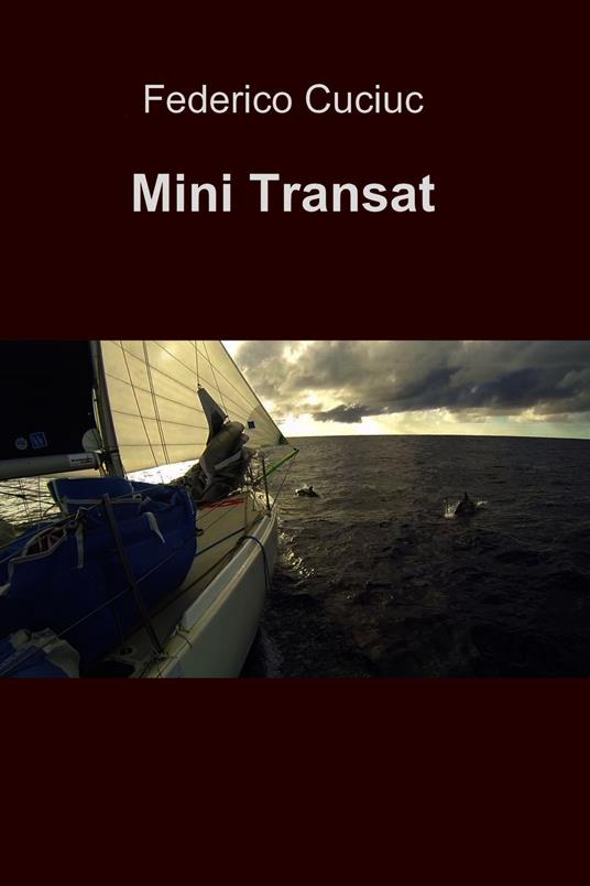Mini transat - Federico Cuciuc - ebook