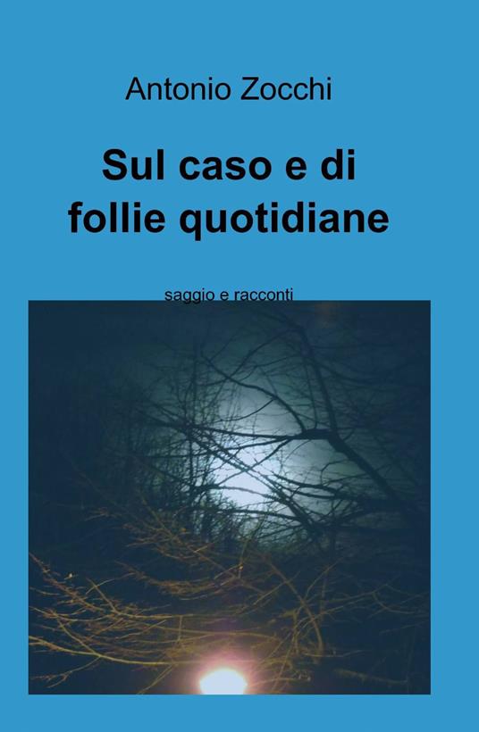 Sul caso e di follie quotidiane - Antonio Zocchi - copertina