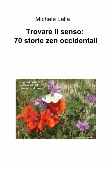 Trovare il senso: 70 storie zen occidentali - Michele Lalla - copertina