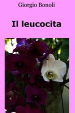 Il leucocita