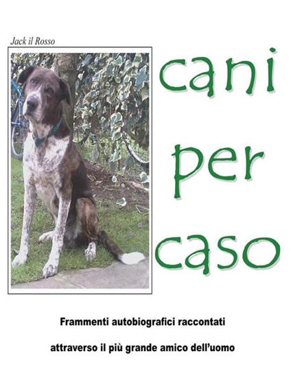 Cani per caso - Il Rosso Jack - ebook