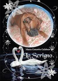 Lo scrigno - Maria Concetta Calabria - copertina
