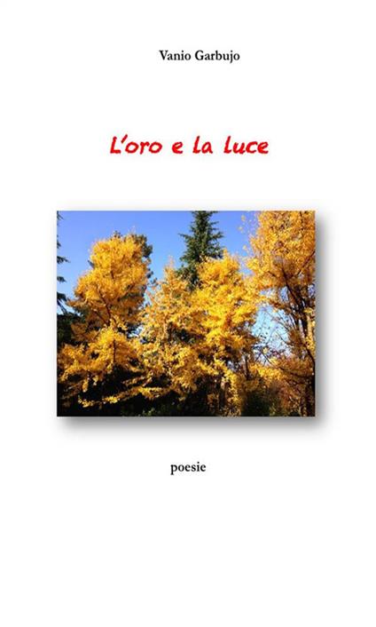 L' oro e la luce - Vanio Garbujo - ebook