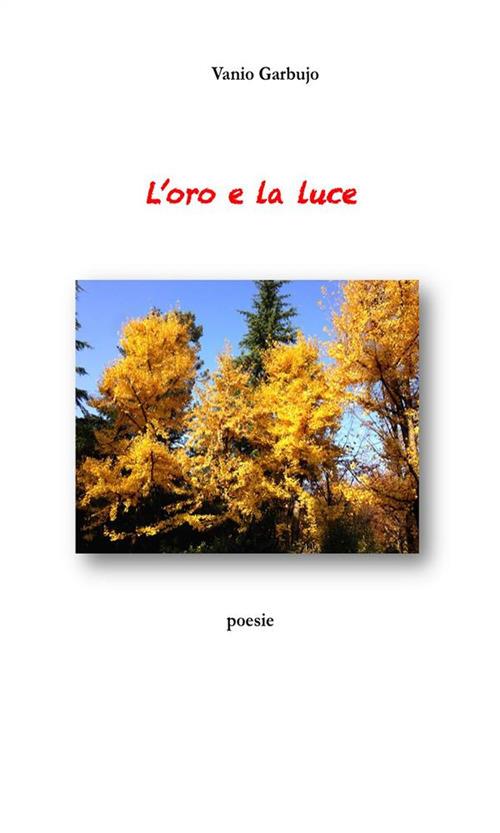 L' oro e la luce - Vanio Garbujo - ebook