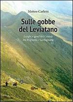 Sulle gobbe del Leviatano