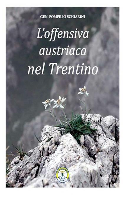 L' offensiva austriaca nel Trentino - Pompilio Schiarini - ebook