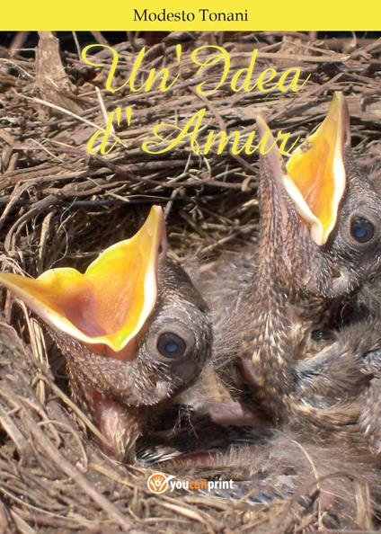 Un' idea d'amur - Modesto Tonani - copertina