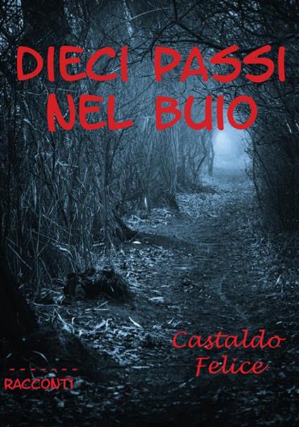 Dieci passi nel buio - Felice Castaldo - ebook