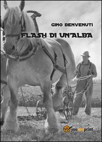 Flash di un'alba - Gino Benvenuti - copertina