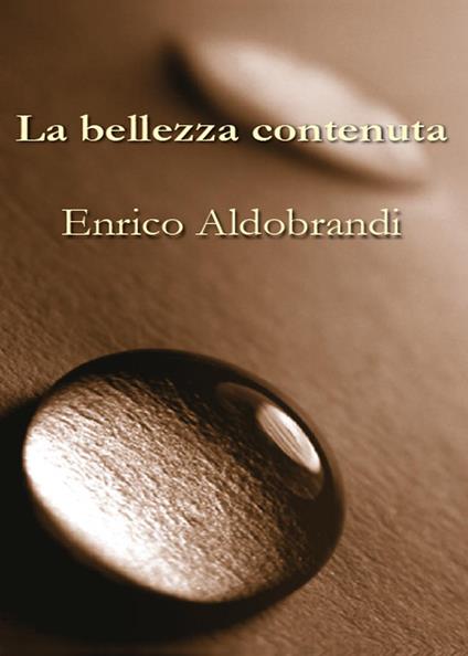 La bellezza contenuta - Enrico Aldobrandi - copertina