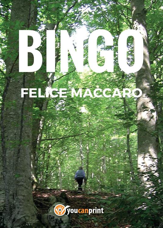 Bingo - Felice Maccaro - copertina
