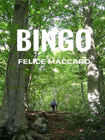 Bingo - Felice Maccaro - ebook