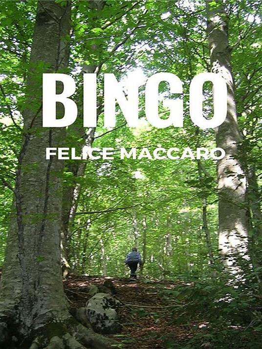 Bingo - Felice Maccaro - ebook