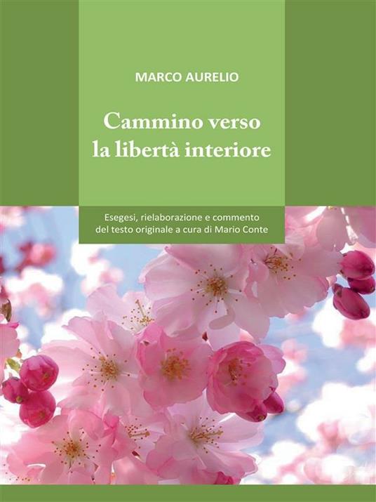 Cammino verso la libertà interiore - Mario Conte - ebook