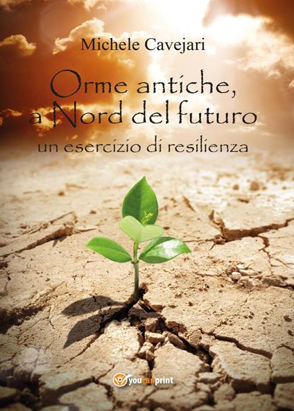 Orme antiche, a nord del futuro - Michele Cavejari - copertina