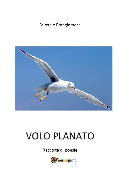 Volo planato - Michele Frangiamore - copertina