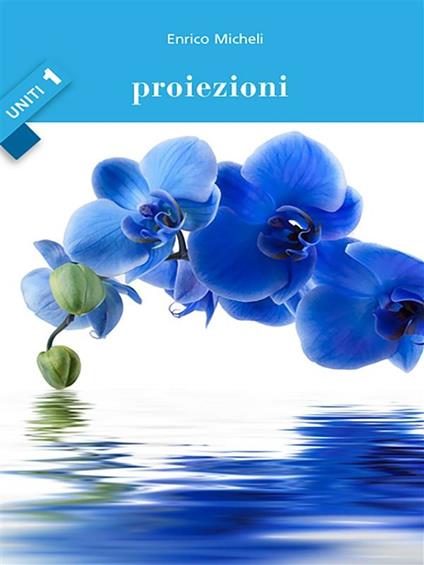 Proiezioni. Uniti. Vol. 1 - Enrico Micheli - ebook