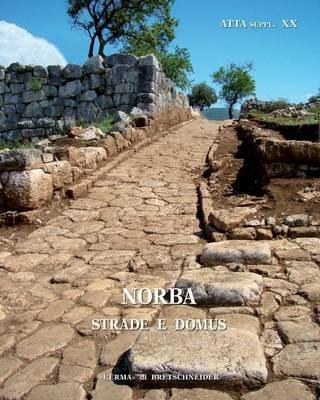 Norba. Strade e Domus - Stefania Quilici Gigli - copertina