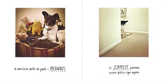 Parola di Wilma il cane. 100 consigli per vivere ogni giorno felici e canini - Rae Dunn - 2