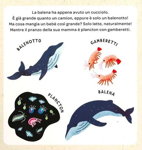 Gli animali del ghiaccio. Ediz. a colori - Sophie de Mullenheim - 2