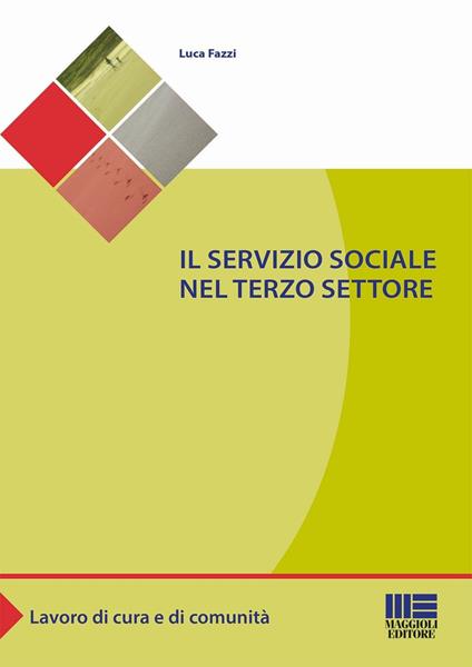 Il servizio sociale nel terzo settore - Luca Fazzi - copertina