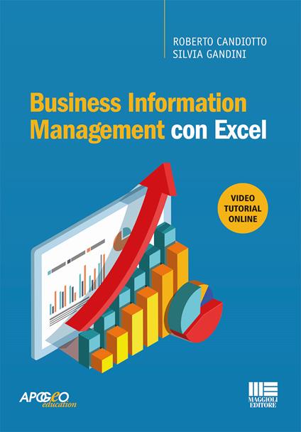 Business information management con Excel - Roberto Candiotto,Silvia Gandini - copertina