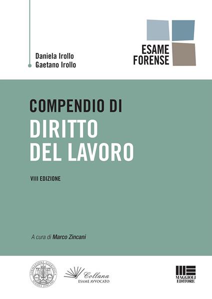 Compendio di diritto del lavoro - Daniela Irollo,Gaetano Irollo - copertina