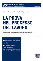 La prova nel processo del lavoro